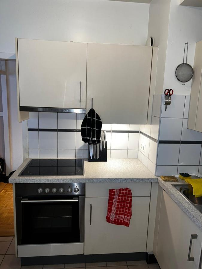 Beautiful Large Studio In Center Of Geneva Free Wifi Apartamento Exterior foto
