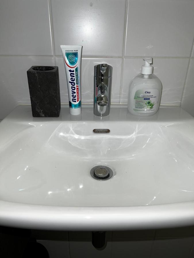 Beautiful Large Studio In Center Of Geneva Free Wifi Apartamento Exterior foto